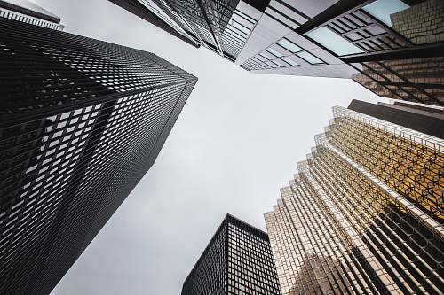 architecture low-angle photography of high-rise buildings skyscraper