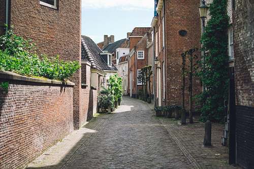 street pathway in the middle of buildings alley