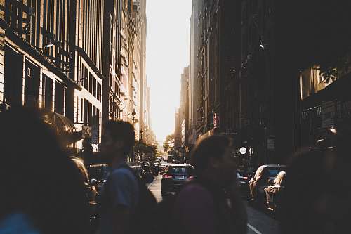 urban people crossing on pedestrian lane person