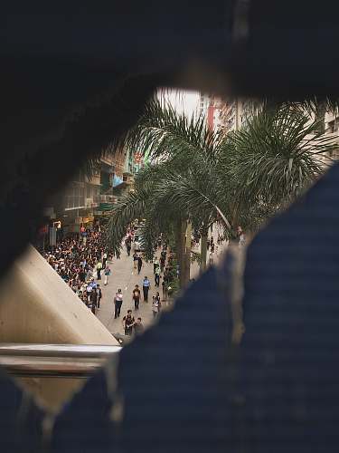 urban people walking near road beside buildings during daytime building