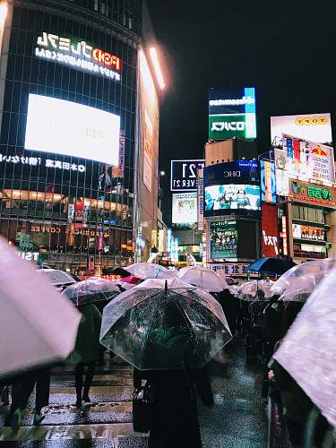 urban people with umbrellas walking near buildings during night metropolis