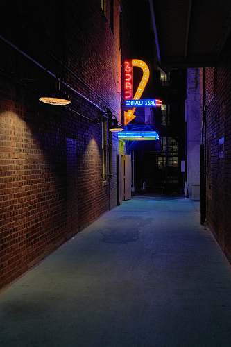 building Scat LED signage beside wall in the alley road