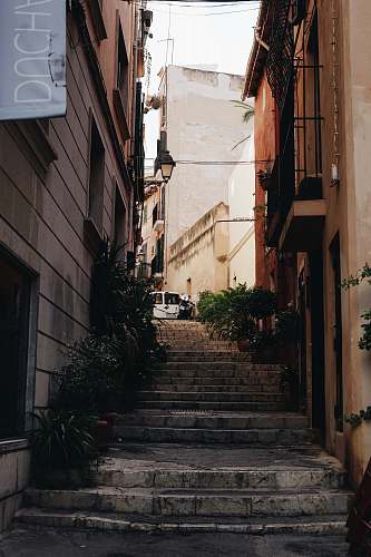 building stairs in alleyway plant