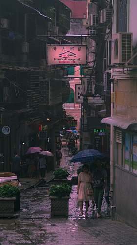 road two man and woman under blue umbrella during daytime street