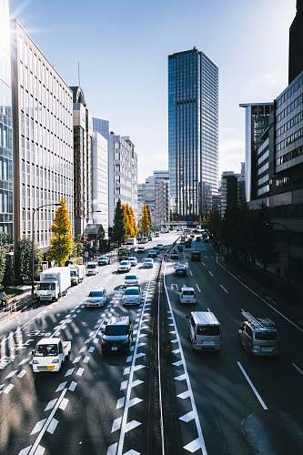 road vehicles and buildings urban