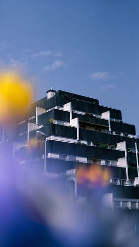 building white and black building at daytime urban