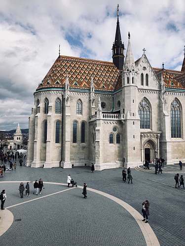 urban white and brown cathedral downtown