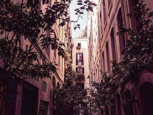 urban white concrete building at daytime street