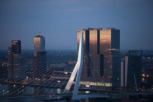 building white full-suspension bridge near curtain wall buildings at night time downtown