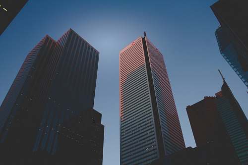 building worm's eye view of high-rise city buildings during daytime skyscraper