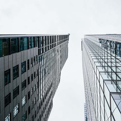 skyscraper worm's eye view photo of building during daytime architecture