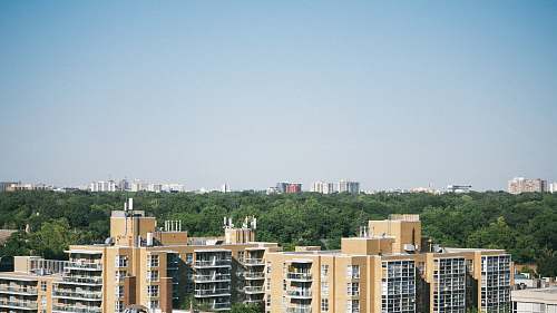 building yellow and black concrete buildings at daytime high rise