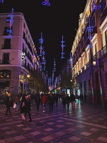 pedestrian people walking on street at night person