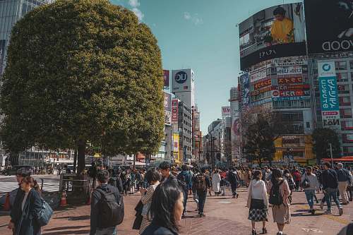 pedestrian people walking on street person