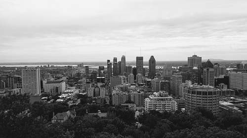 nature grayscale photography of city buildings black-and-white