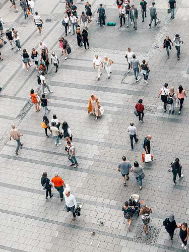 human people walking on gray concrete road pedestrian