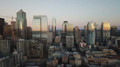 city aerial photography of high-rise building building