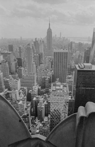 metropolis grayscale photo of high rise buildings black-and-white