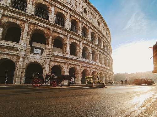 town horse and carriage beside The Colosseum downtown