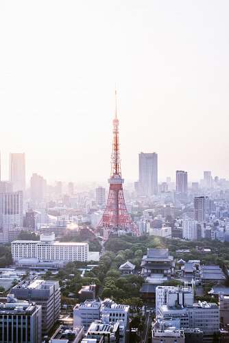 city red and white tower in the middle of an urban city tower
