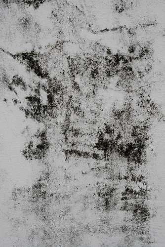 texture  rug