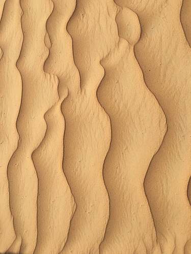 soil  sand