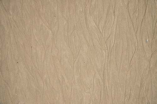 wood brown surface plywood