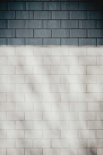 wall white brick wall background