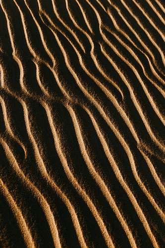 soil  sand
