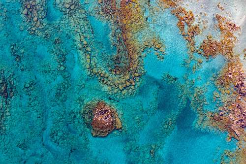 ocean aerial photography of rock formation sea life