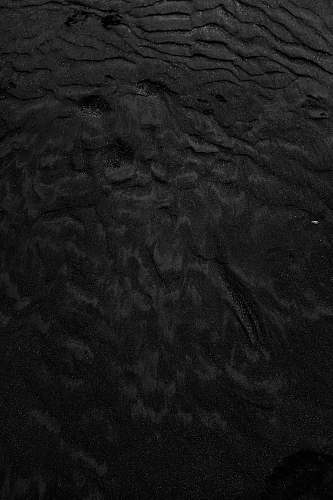 black-and-white black and gray floral textile outdoors