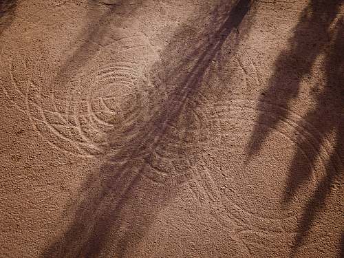 outdoors brown and white floral textile soil