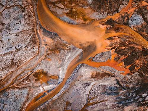 mud brown tree root river