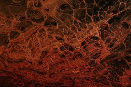 fractal red and gray abstract painting brown