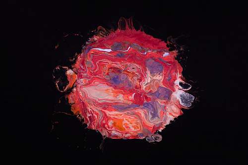blossom red, blue, and gray oil abstract painting flower