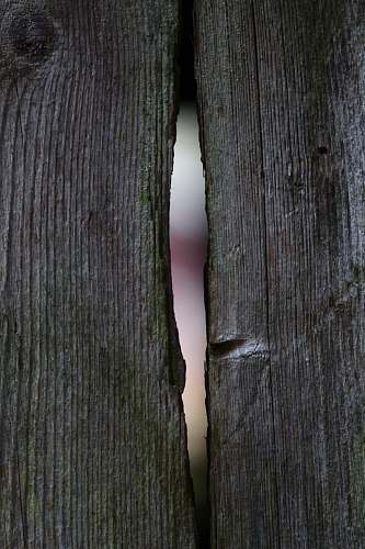wood  hardwood