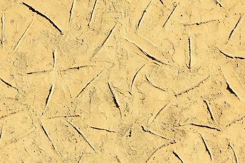 soil brown surfae texture