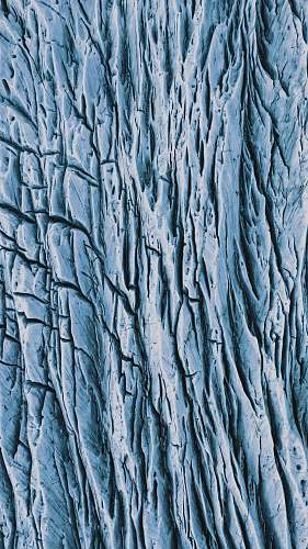 texture brown tree trunk in close up photography slate
