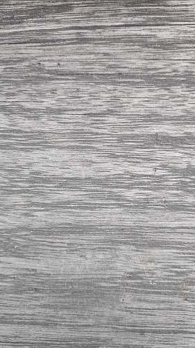 grey  black-and-white