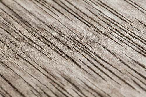 wood brown wooden surface in close up photography plywood