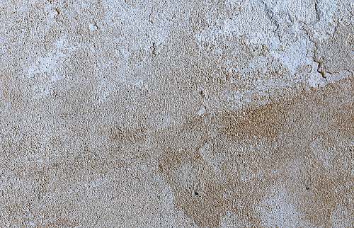 nature person in black shoes standing on gray concrete floor concrete