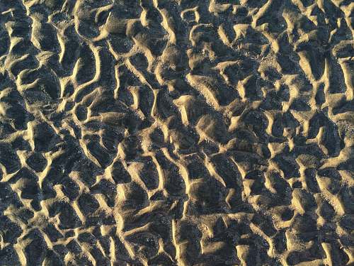 nature sands outdoors