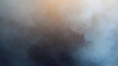 fog  nature