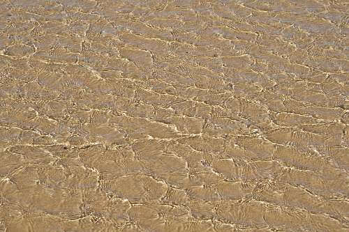 ground  soil