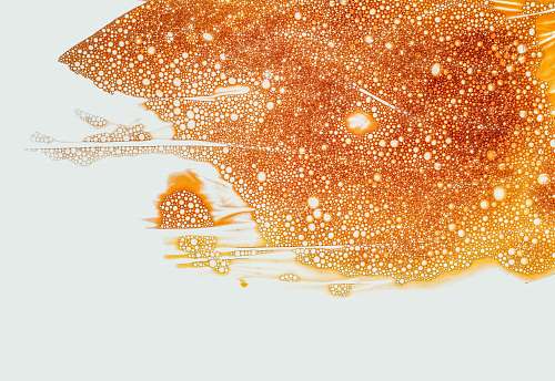 light  liquid
