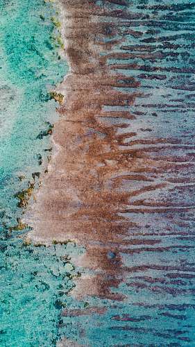 ocean  coastline