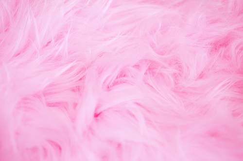 pink  background