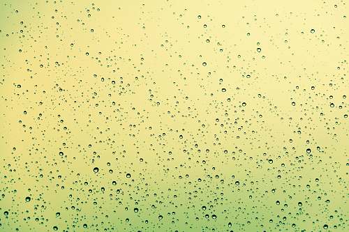 yellow  pattern