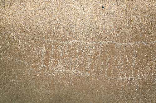 rug bird's eye view of beach line brown