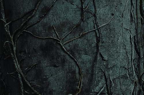 slate black tree branch on black textile rock